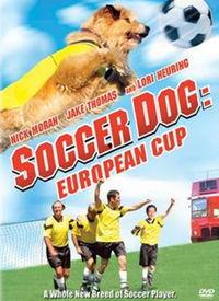 足坛神犬 在线观看,传奇犬只的足球传奇之旅