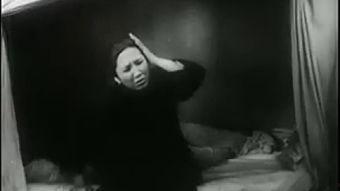 慈母在线观看,温情演绎母爱如山的故事  第2张