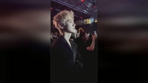 刘大锤最新爆料白敬亭宋轶原视频,白敬亭宋轶幕后原视频曝光，真相令人震惊！