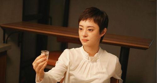 孙俪电视剧安家在线观看,孙俪演绎房产中介传奇，在线观看见证奋斗人生  第2张