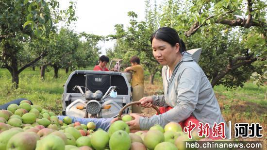 赵县秀才营最新爆料,最新爆料揭示不为人知的背后故事  第3张