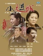 小麦进城电视剧全集在线观看,农村女孩的奋斗与蜕变之路  第2张