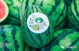 古茗瓜最新爆料  第3张